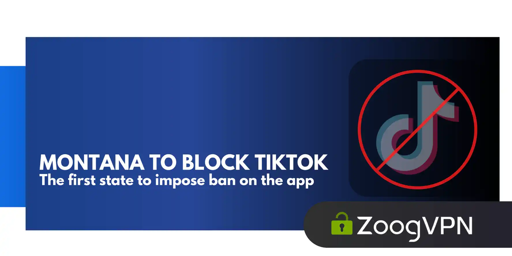 Montana passes bill becoming the first state in the US to completely ban TikTok